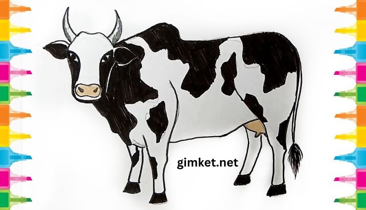 cow drawing